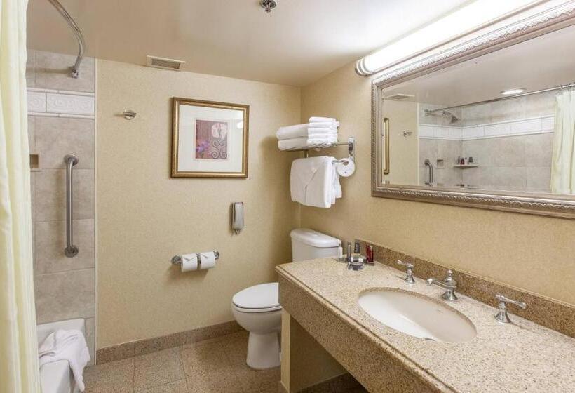 스탠다드 룸, Sacramento Marriott Rancho Cordova