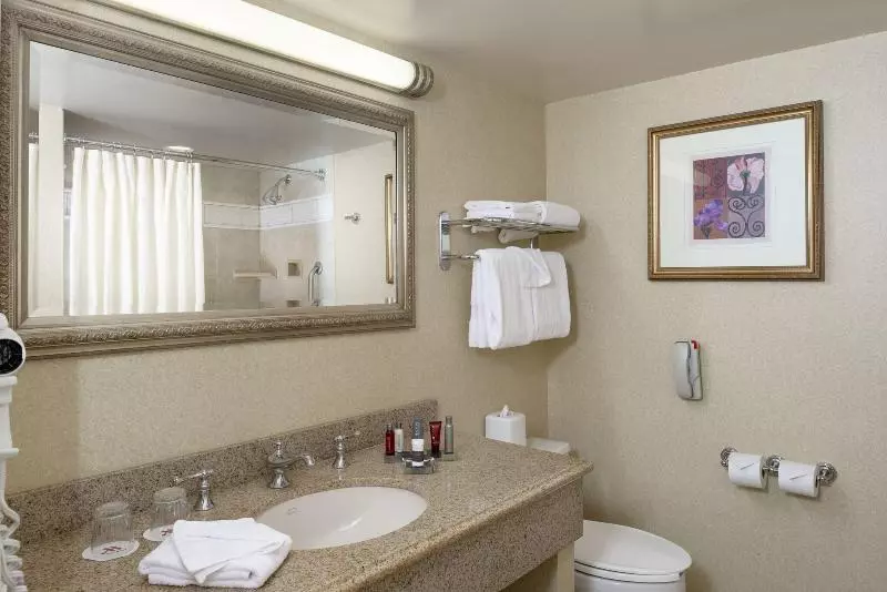 اتاق استاندارد با تخت بزرگ, Sacramento Marriott Rancho Cordova