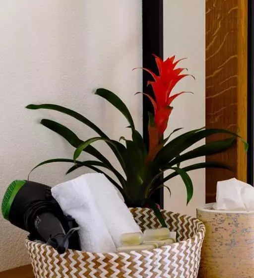 Deluxe-huone, Boutique Hotel Antica Posta