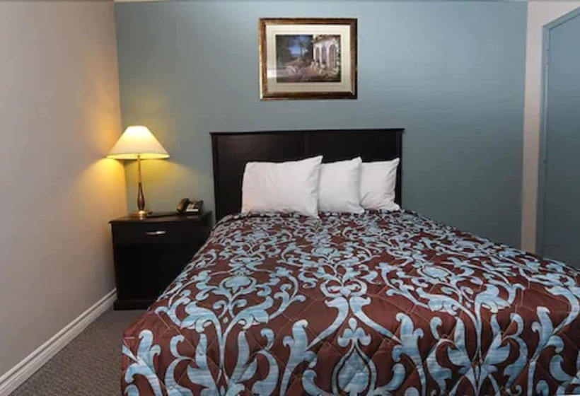 غرفة قياسية سرير مزدوج, Belmont Inn