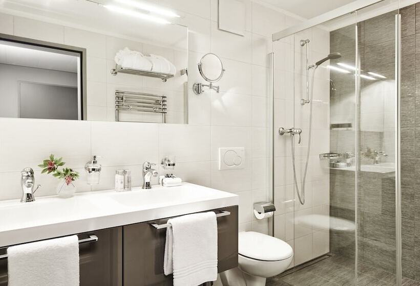 اتاق خانوادگی, Belvedere Locarno