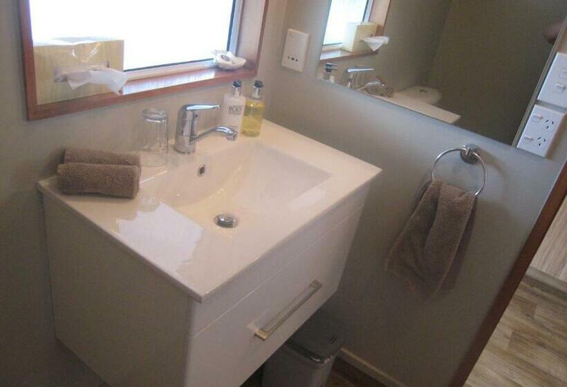 חדר דחוקס עם מיטת קינג, Buller Court On Palmerston