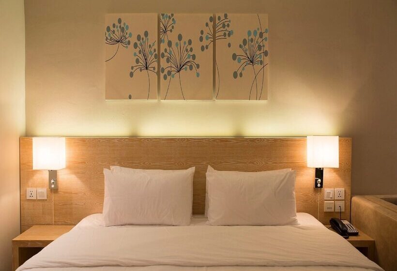 اتاق لوکس با تخت بزرگ, Pereybere Hotel & Spa