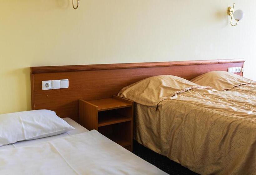 غرفة سوبيريور مطلة على المدينة, Korona Wellness, Rendezvény és Borszálloda