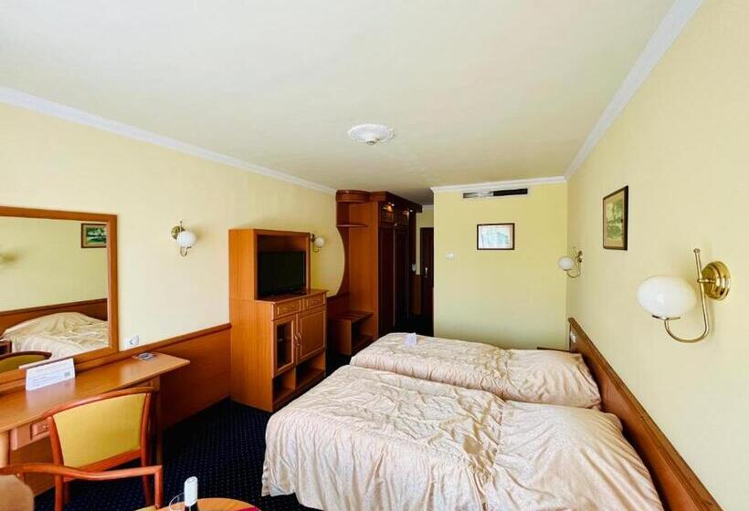 غرفة سوبيريور مطلة على المدينة, Korona Wellness, Rendezvény és Borszálloda