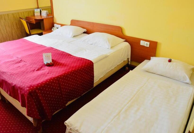 غرفة قياسية, Korona Wellness, Rendezvény és Borszálloda