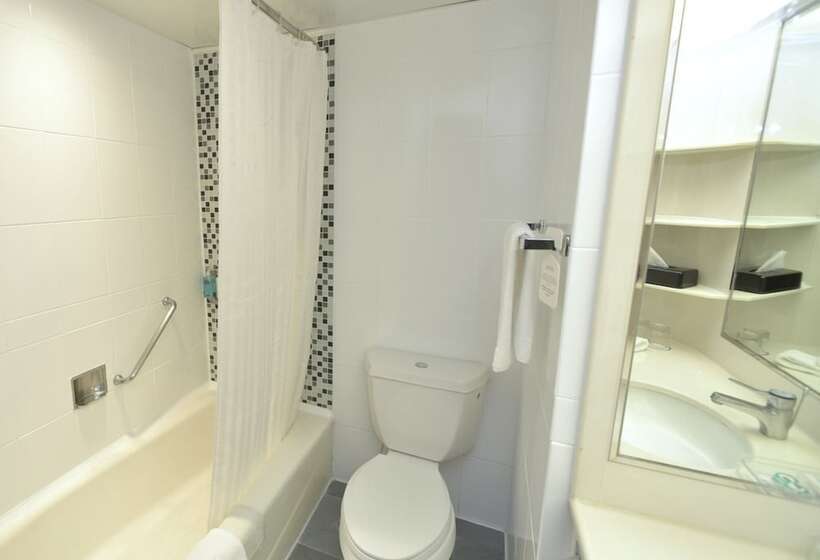 اتاق لوکس, Panda