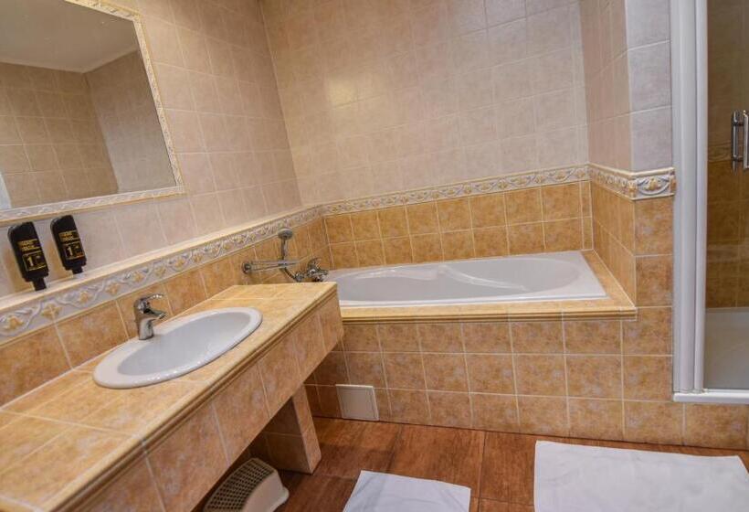 آپارتمان 2 خوابه با تراس, Botel Gracia