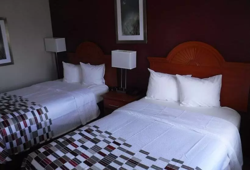 Deluxe-huone, Red Roof Inn Morton Grove
