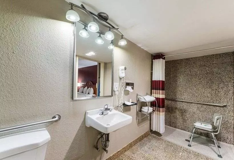 Deluxe-huone, Red Roof Inn Morton Grove