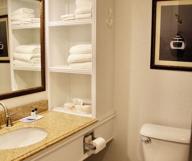 带2个双人床的标准工作室, Surf Side