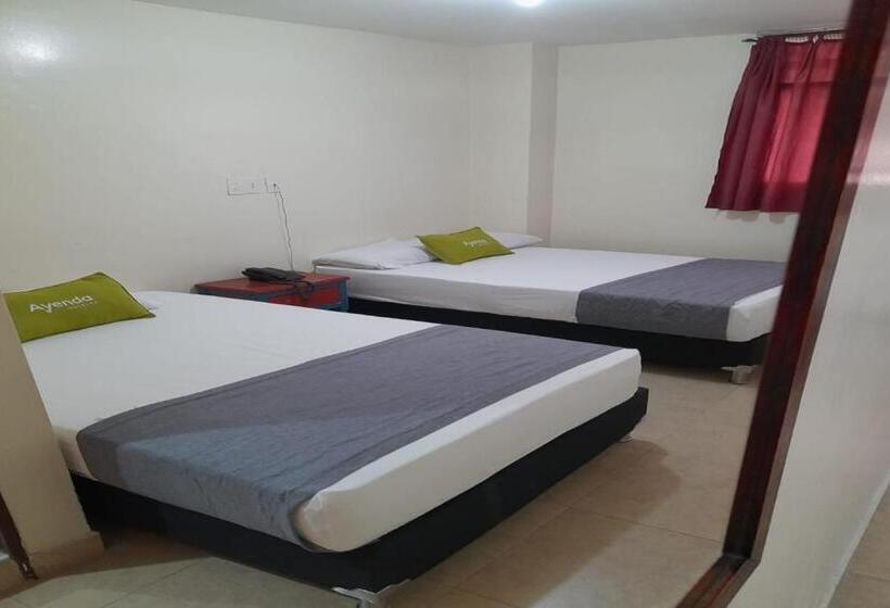 标准间, Ayenda 1248 Conquistadores