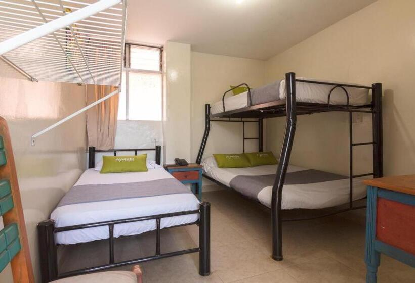 标准三人间, Ayenda 1248 Conquistadores