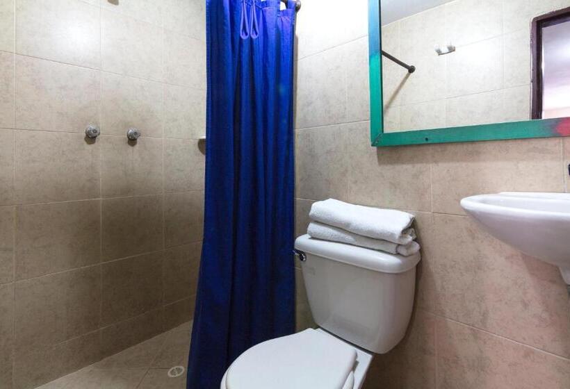 家庭间, Ayenda 1248 Conquistadores