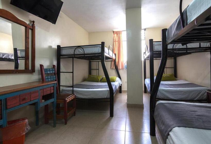 家庭间, Ayenda 1248 Conquistadores