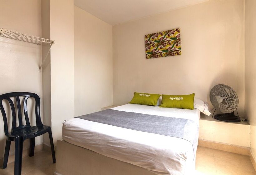 标准间, Ayenda 1248 Conquistadores