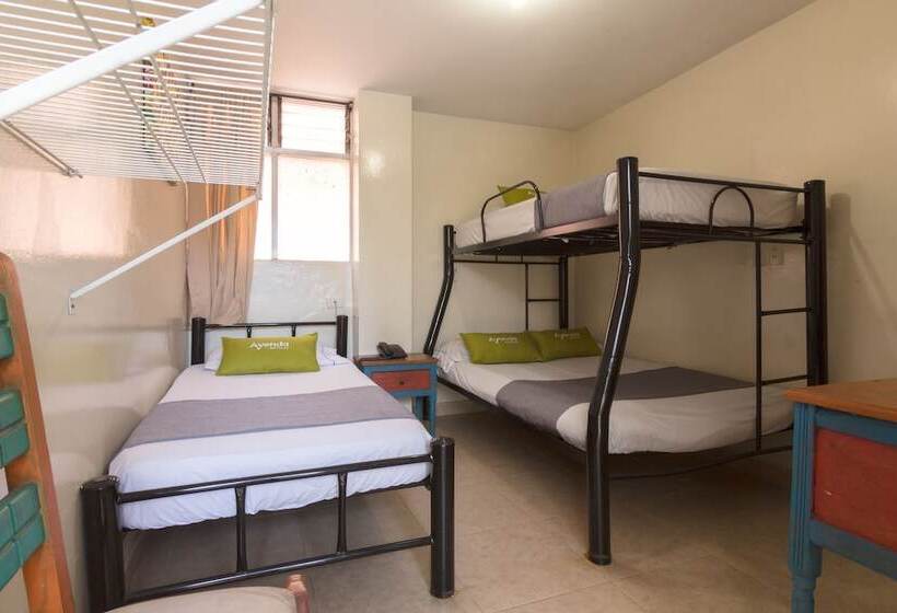 标准三人间, Ayenda 1248 Conquistadores