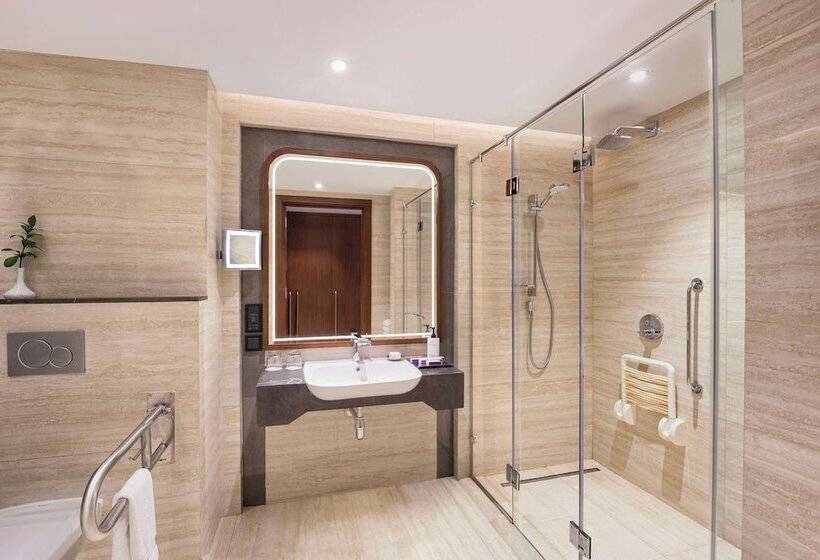 اتاق استاندارد برای معلولان, Sofitel Cairo Downtown Nile