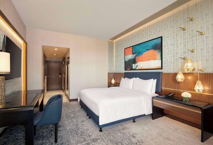 اتاق استاندارد برای معلولان, Sofitel Cairo Downtown Nile