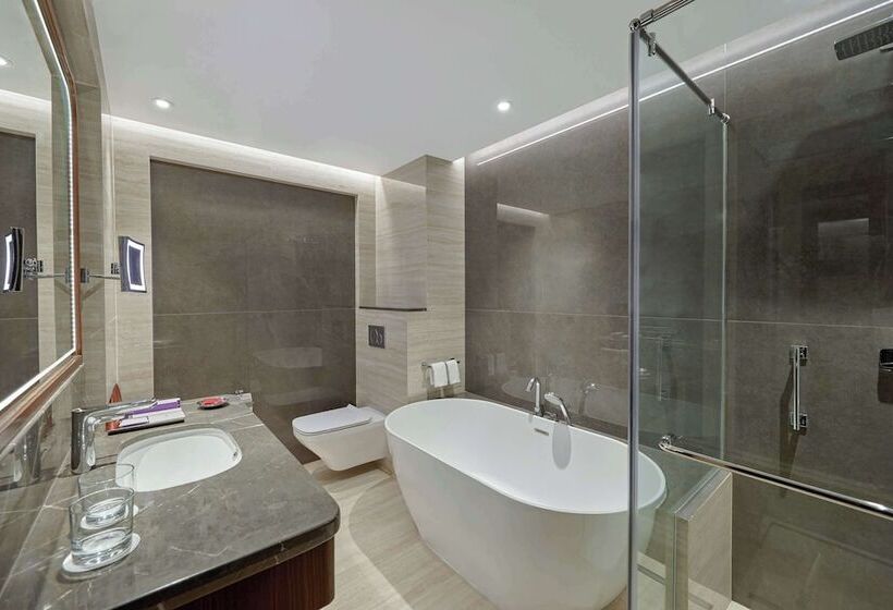 سوئیت پریمیوم, Sofitel Cairo Downtown Nile