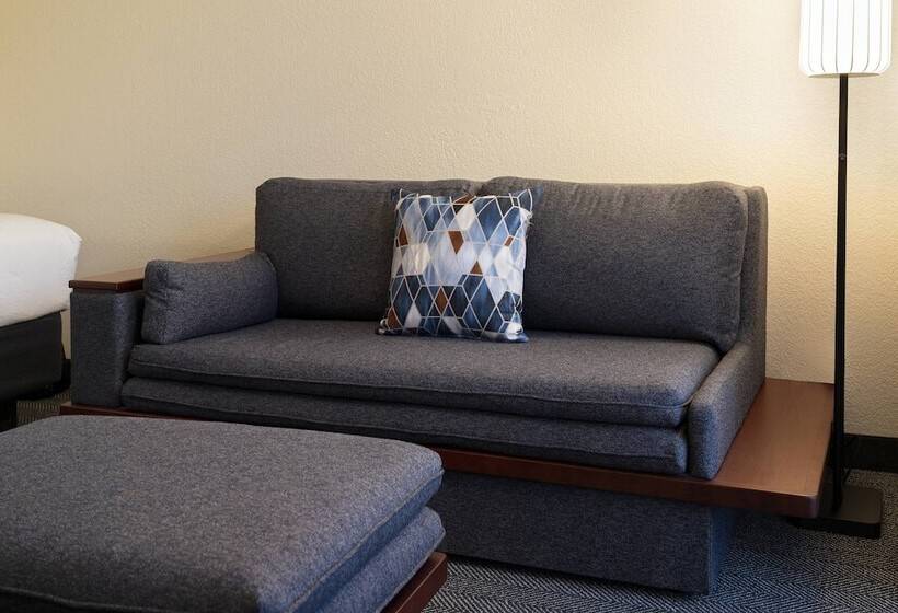 스위트, Courtyard By Marriott Palm Springs