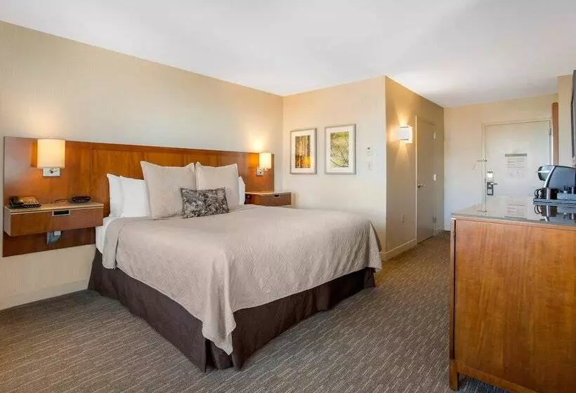 اتاق لوکس, Omni Providence