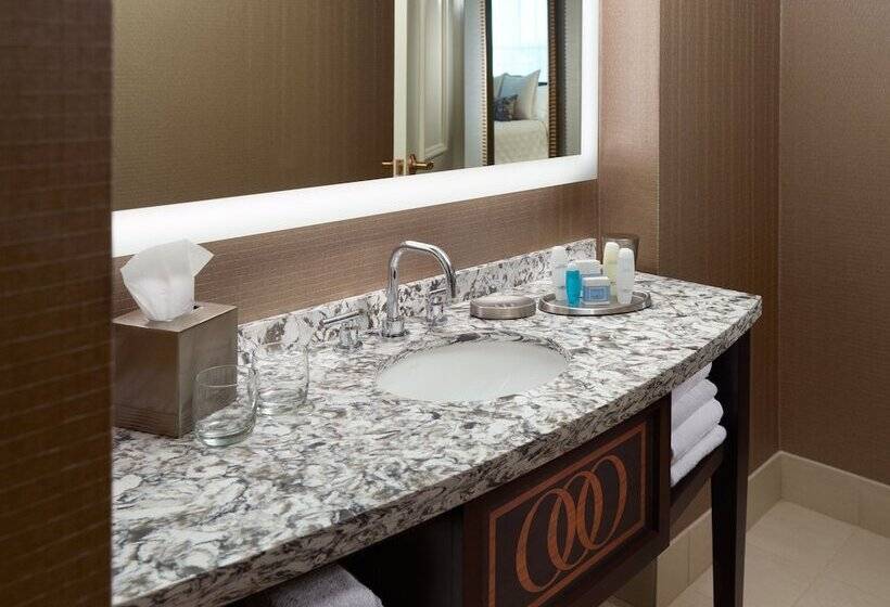 غرفة بريميوم, Omni Providence