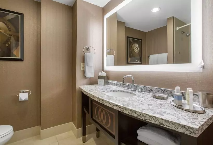اتاق استاندارد با 2 تخت دوبل, Omni Providence