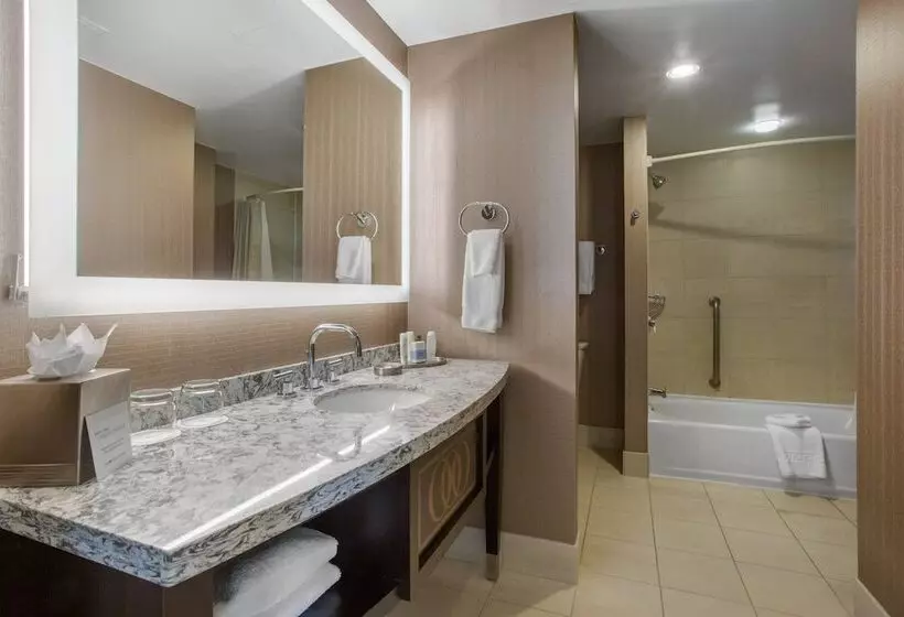 اتاق استاندارد با تخت دوبل, Omni Providence
