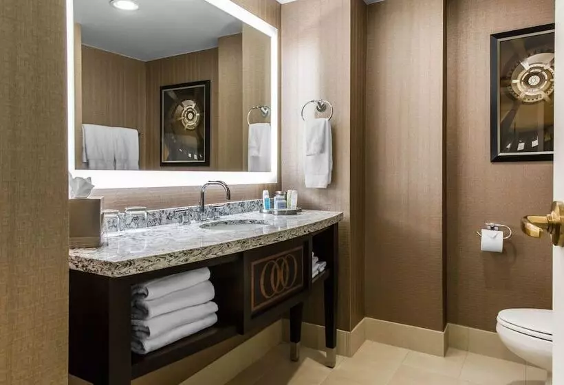 اتاق استاندارد با تخت دوبل, Omni Providence