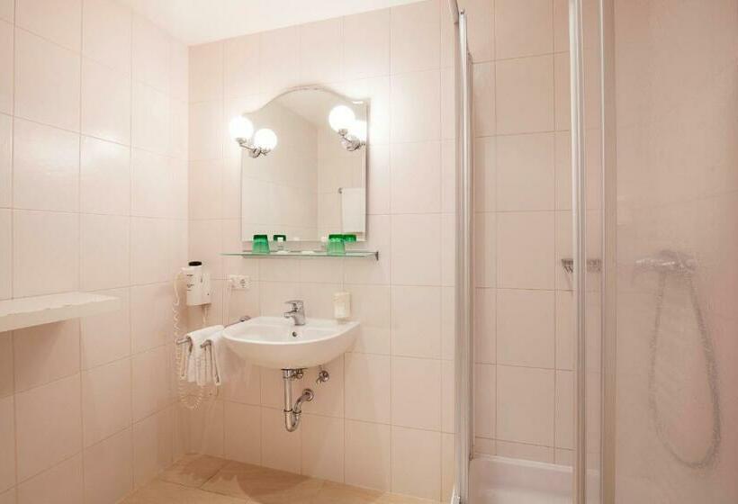 חדר ביזנס, Keramikhotel Goldener Brunnen