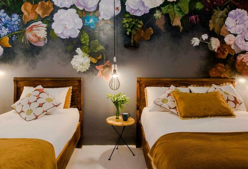 Camera Standard Bagno Condiviso, Niños Hotel Meloc