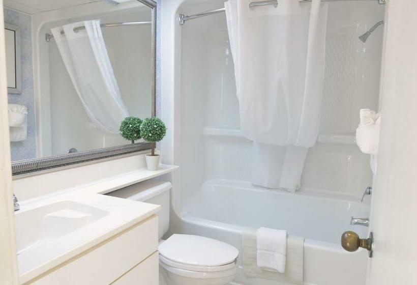 استودیوی استاندارد با چشمانداز دریا, Sea Watch Resort