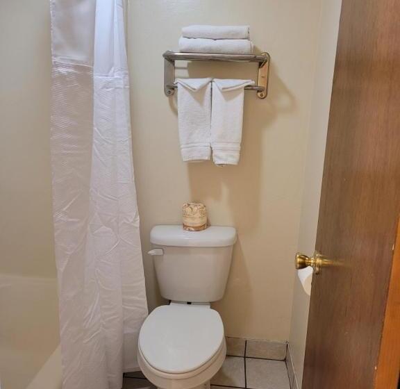 Номер Deluxe Кровать Кинг, Westerner Motel