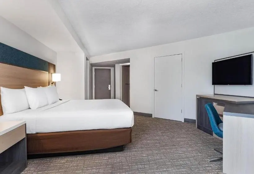 اتاق استاندارد با تخت بزرگ برای معلولان, Holiday Inn Resort Kissimmee by the Parks by IHG