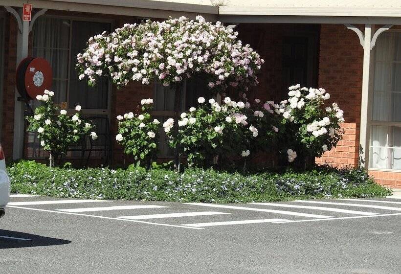 家庭交流房, Wine Village Motor Inn