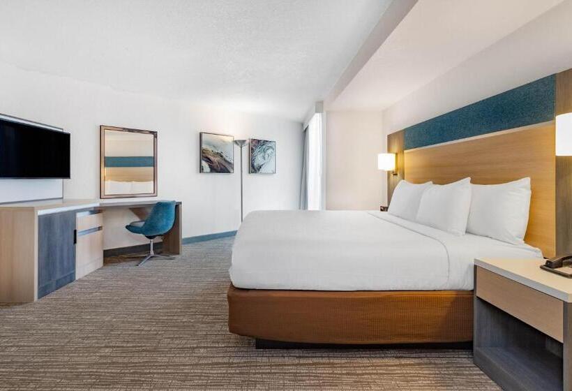 适合残疾人士使用的带超级大床的标准间, Wyndham Orlando Resort & Conference Center Celebration Area