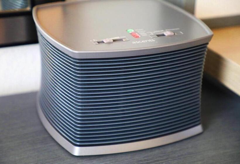 带大床的标准间, Wyndham Orlando Resort & Conference Center Celebration Area