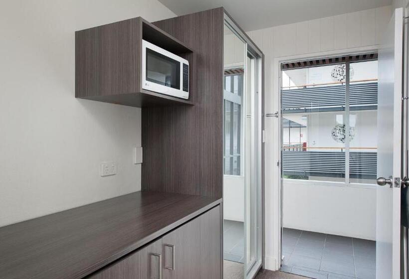 스탠다드 도시전망 룸, Nelson