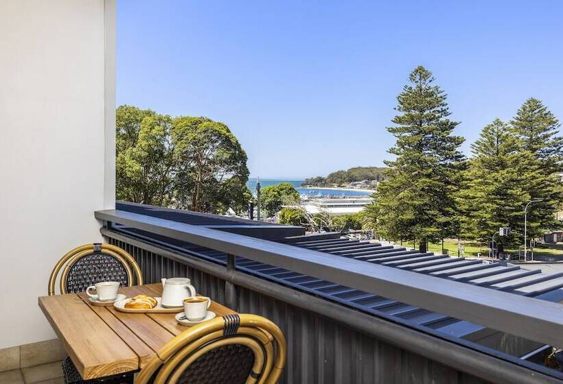 스탠다드 룸, Nelson