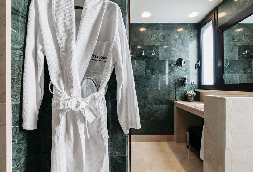 Номер Superior, Catalonia Brussels