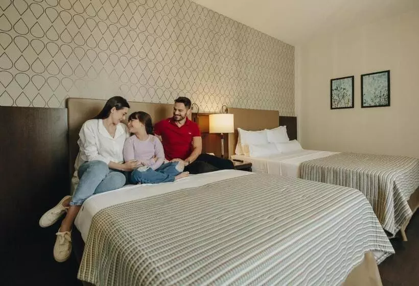 اتاق لوکس یک تخته, Bourbon Hotel & Suites Curitiba