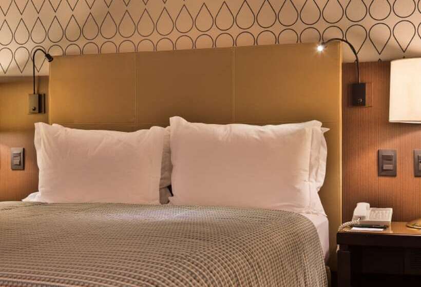 Номер Superior, Bourbon Hotel & Suites Curitiba