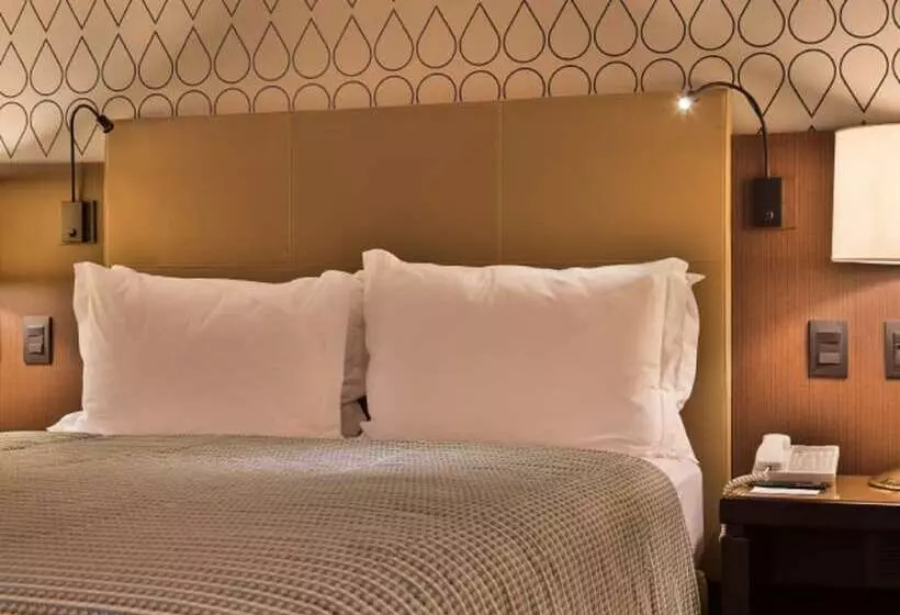 اتاق سوپریور, Bourbon Hotel & Suites Curitiba