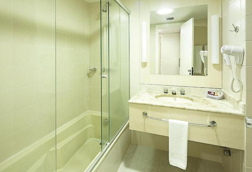 Suite med udsigt over byen, Swan Novo Hamburgo