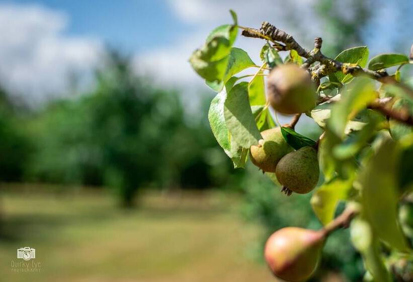 수피리어 룸, Granary Villa