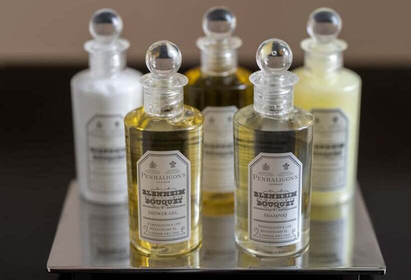 豪华房间, The Franklin London   Starhotels Collezione