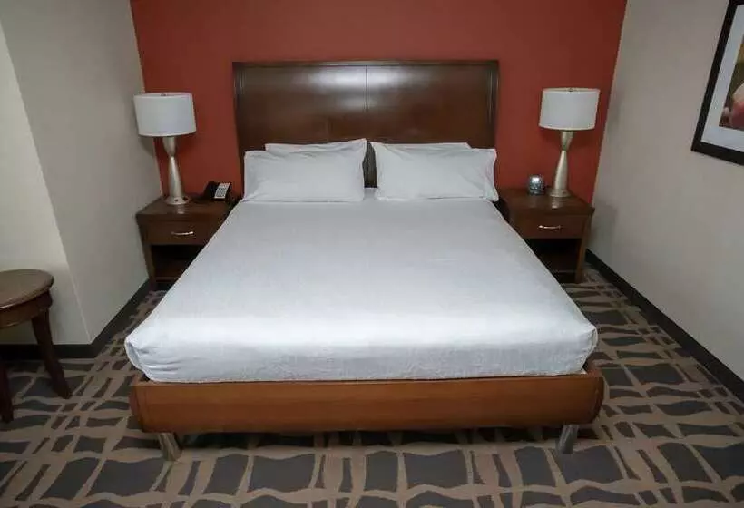 キングサイズベッドのジュニアスイート, Hilton Cardiff