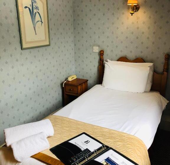 标准单人间, Brook Red Lion