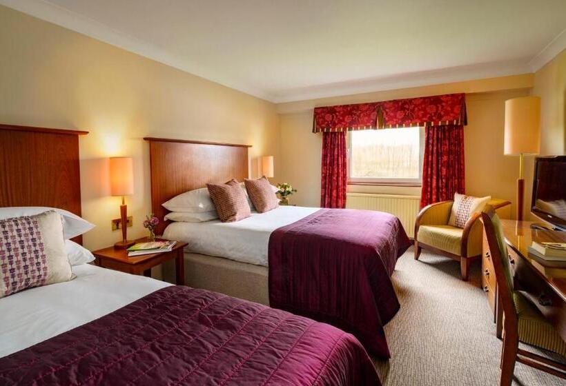 غرفة قياسية, Macdonald Tickled Trout